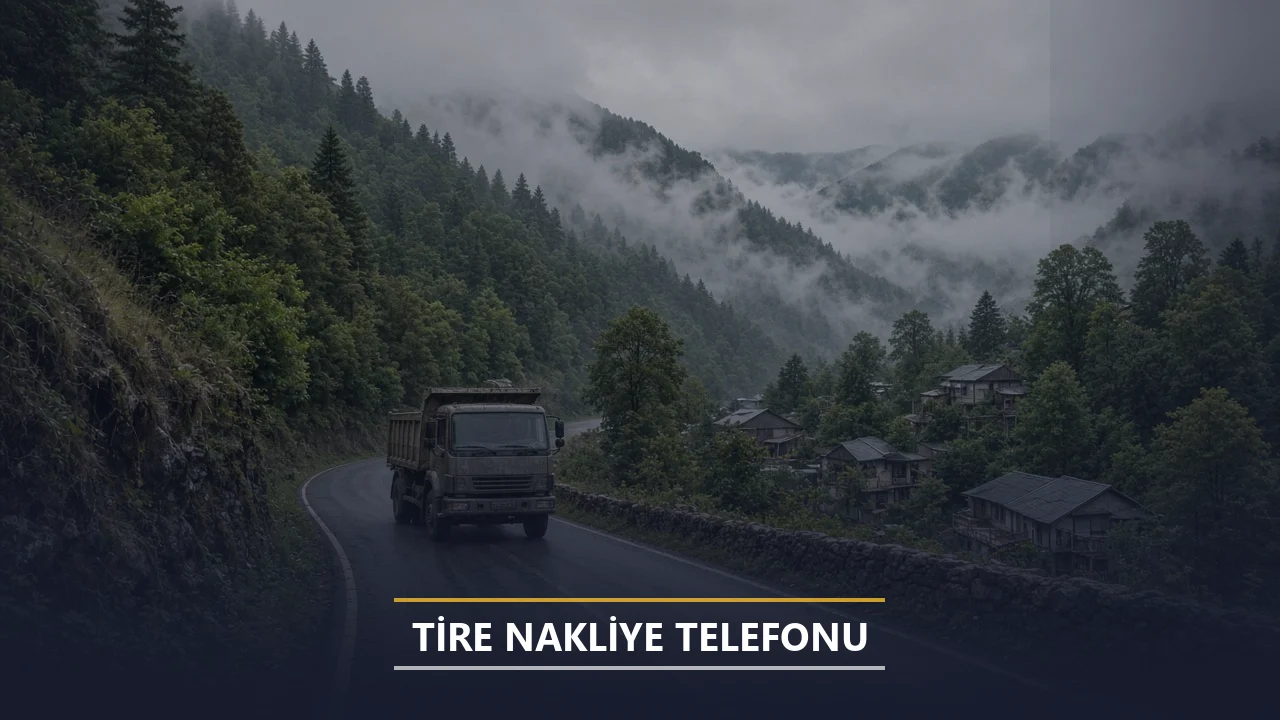 Tire Nakliye Telefonu